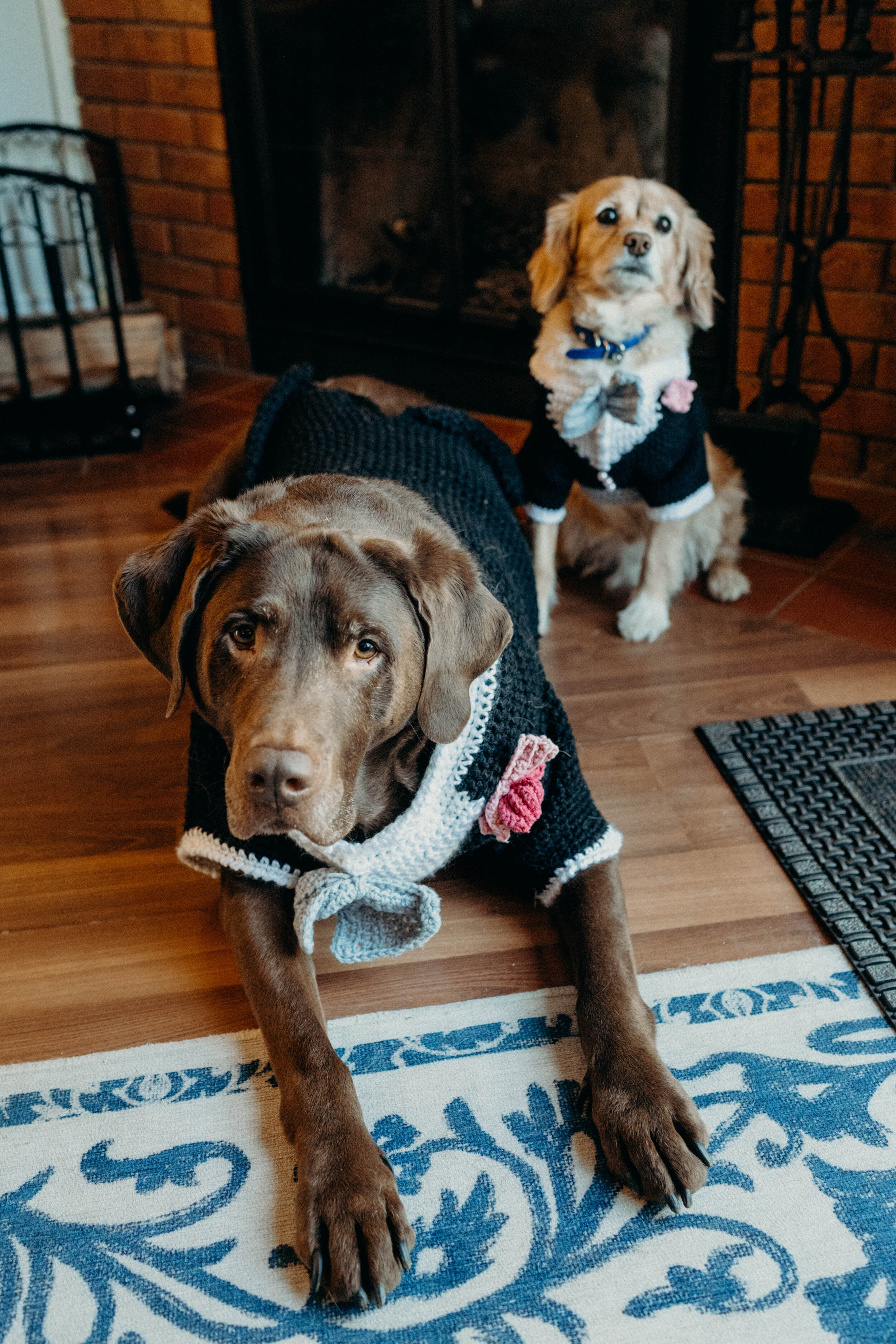 Jessica and Mark High Res-5.jpg